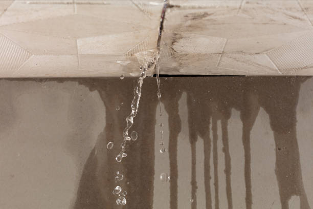 Professional Sewage Cleanup technician working in Claremont, MN